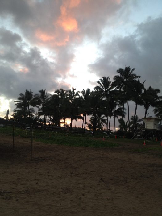 Mahalo, Hanalei Bay!